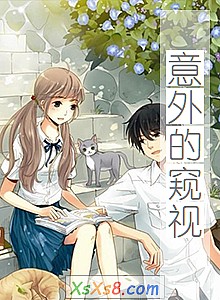 《意外的窥视》小说封面