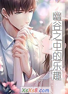 《幽谷之中的乐趣》小说封面