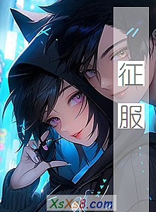 《征服》小说封面