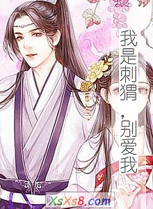 《我是刺猬,别爱我》小说封面