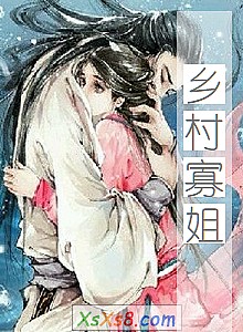 《乡村寡姐》小说封面