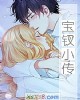 《宝钗小传》小说封面