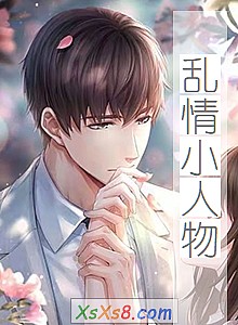 《乱情小人物》小说封面