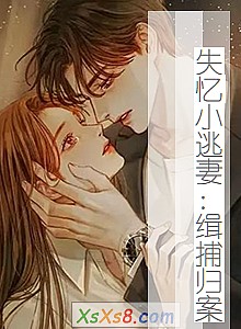 ʧСޣ鰸С˵