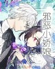 《邪恶小~娘》小说封面