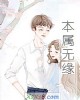 《本属无缘》小说封面