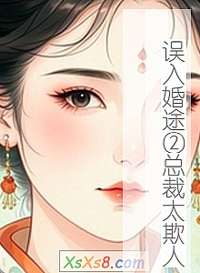 《误入婚途②总裁太欺人》小说封面