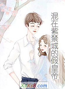 《混在紫禁城的假皇帝》小说封面