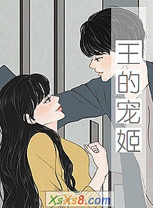 《王的宠姬》小说封面