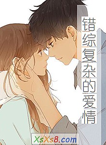 《错综复杂的爱情》小说封面