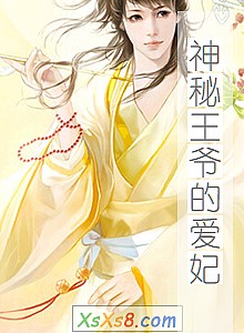 《神秘王爷的爱妃》小说封面