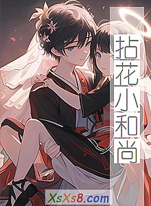 《拈花小和尚》小说封面