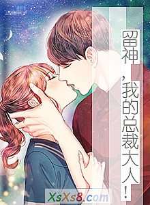 《留神,我的总裁大人!(全)》小说封面