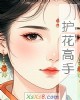 《护花高手》小说封面
