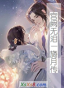 《宫阙无泪—旖月传》小说封面