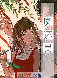 《凤还巢》小说封面