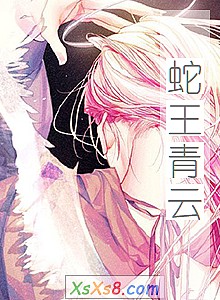 《蛇王青云》小说封面