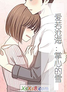 《爱若沧海:掌心的雪 》小说封面