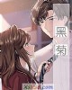 《黑菊》小说封面