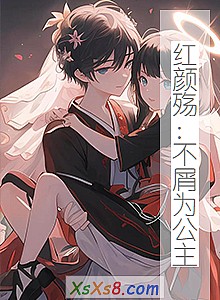 《红颜殇:不屑为公主》小说封面