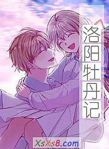 《洛阳牡丹记》小说封面