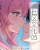 《社区文化站》小说封面