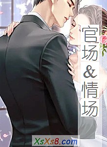 《官场&情场》小说封面