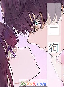 ��������С˵����